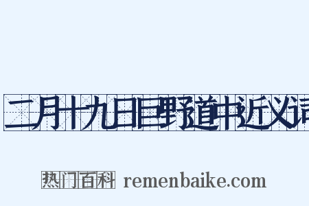 二月十九日巨野道中近义词是什么意思的图片